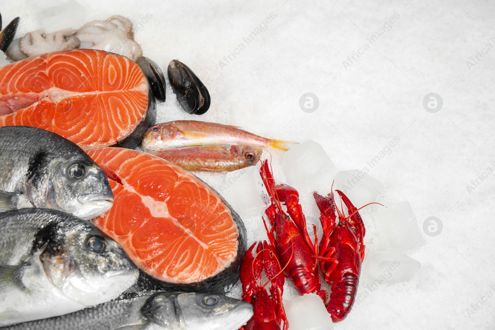 Photo of Fresh fish and seafood on ice, flat lay