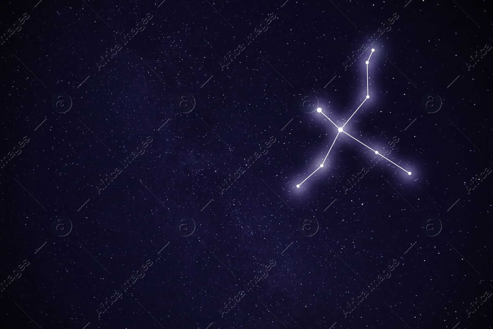 Image of Swan (Cygnus) constellation. Stick figure pattern in starry night sky