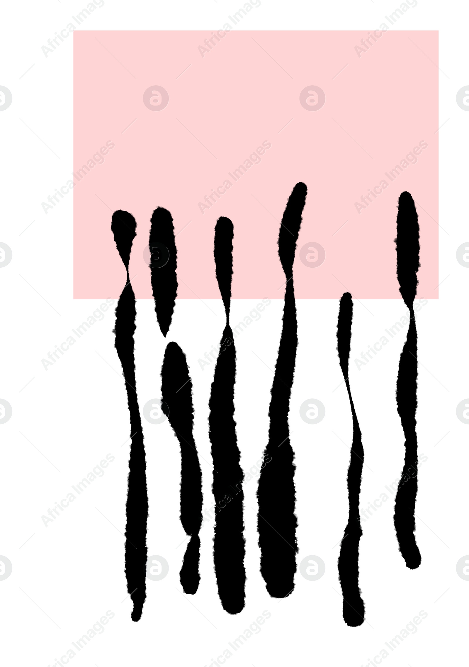 Illustration of Beautiful image of pink rectangle and black lines