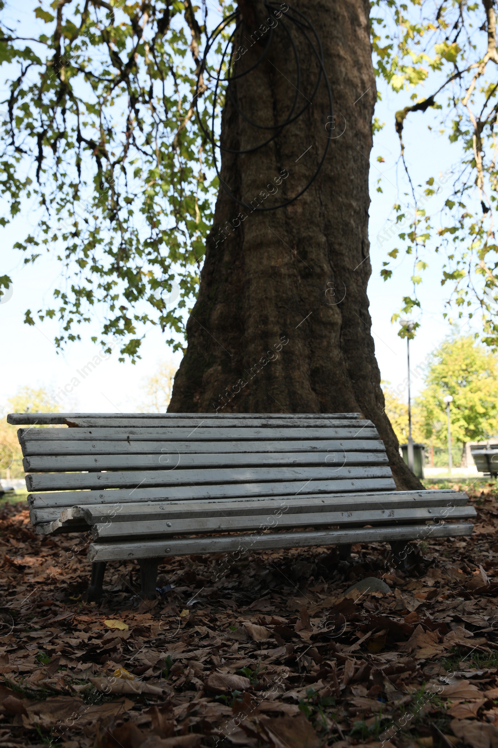 Photo of White wooden bench in park on autumn day