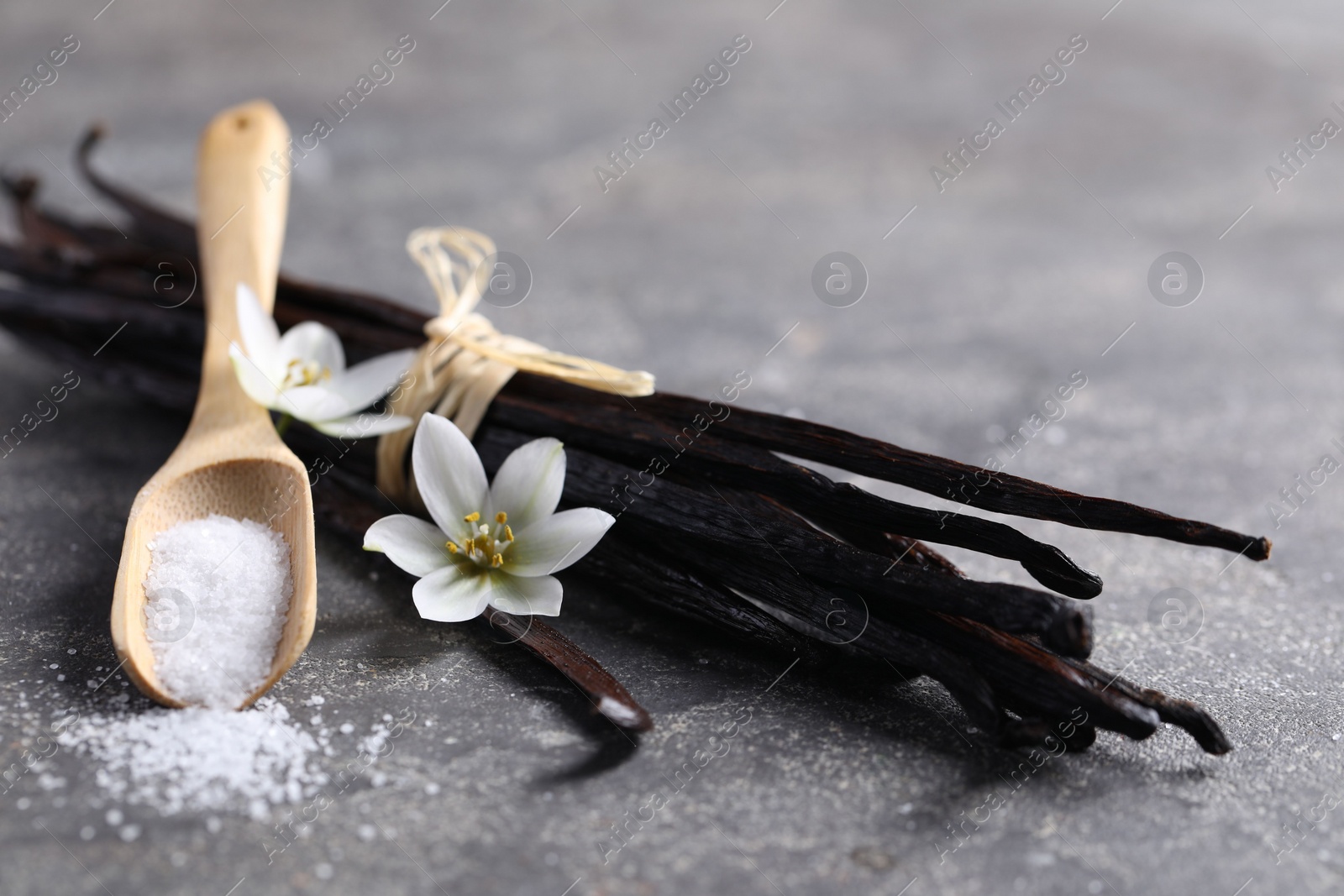 Photo of Spoon with sugar, flowers and vanilla pods on grey textured table, closeup