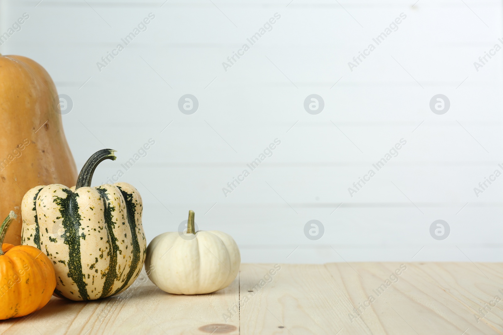 Photo of Thanksgiving day. Many different pumpkins on wooden table, space for text