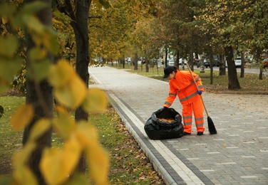 Street cleaner sweeping fallen leaves outdoors on autumn day