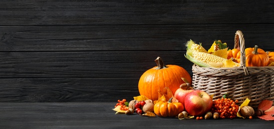 Image of Happy Thanksgiving Day, banner design. Composition with vegetables, fruits and autumn leaves on black wooden table, space for text 