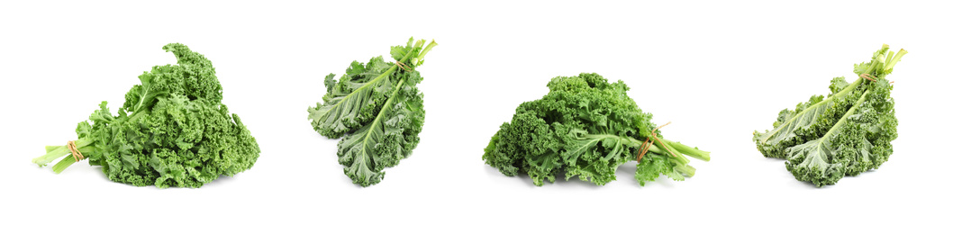 Image of Set of fresh green kale leaves on white background. Banner design 