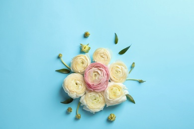 Beautiful ranunculus flowers on color background, flat lay