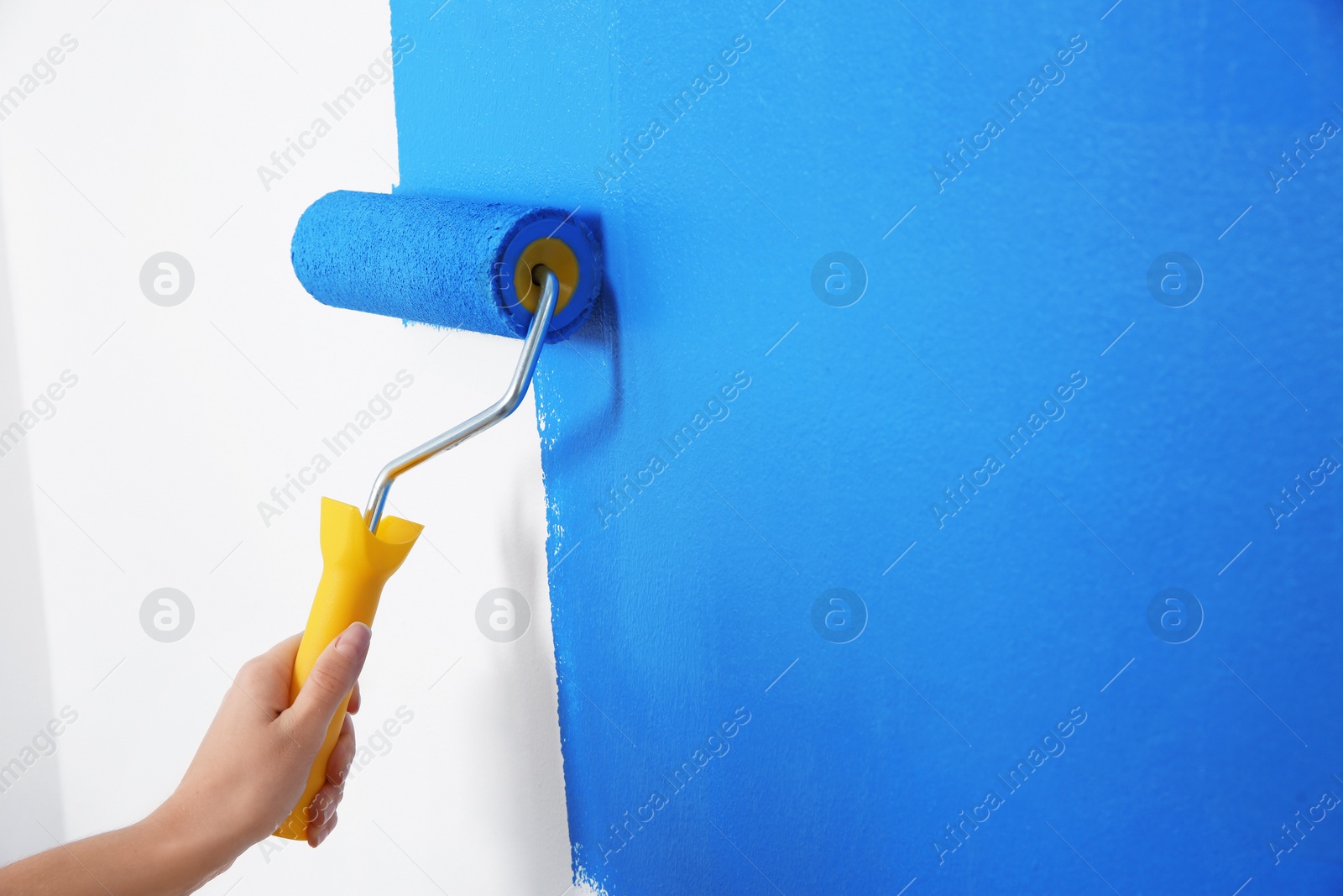 Photo of Woman painting white wall with blue dye, closeup. Interior renovation