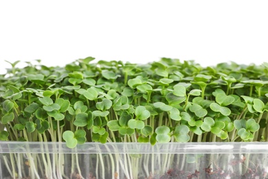 Photo of Fresh organic microgreen on white background, closeup