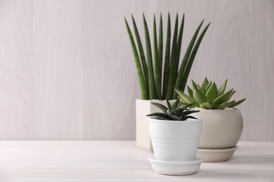 Photo of Beautiful succulent plants in pots on white wooden table, space for text