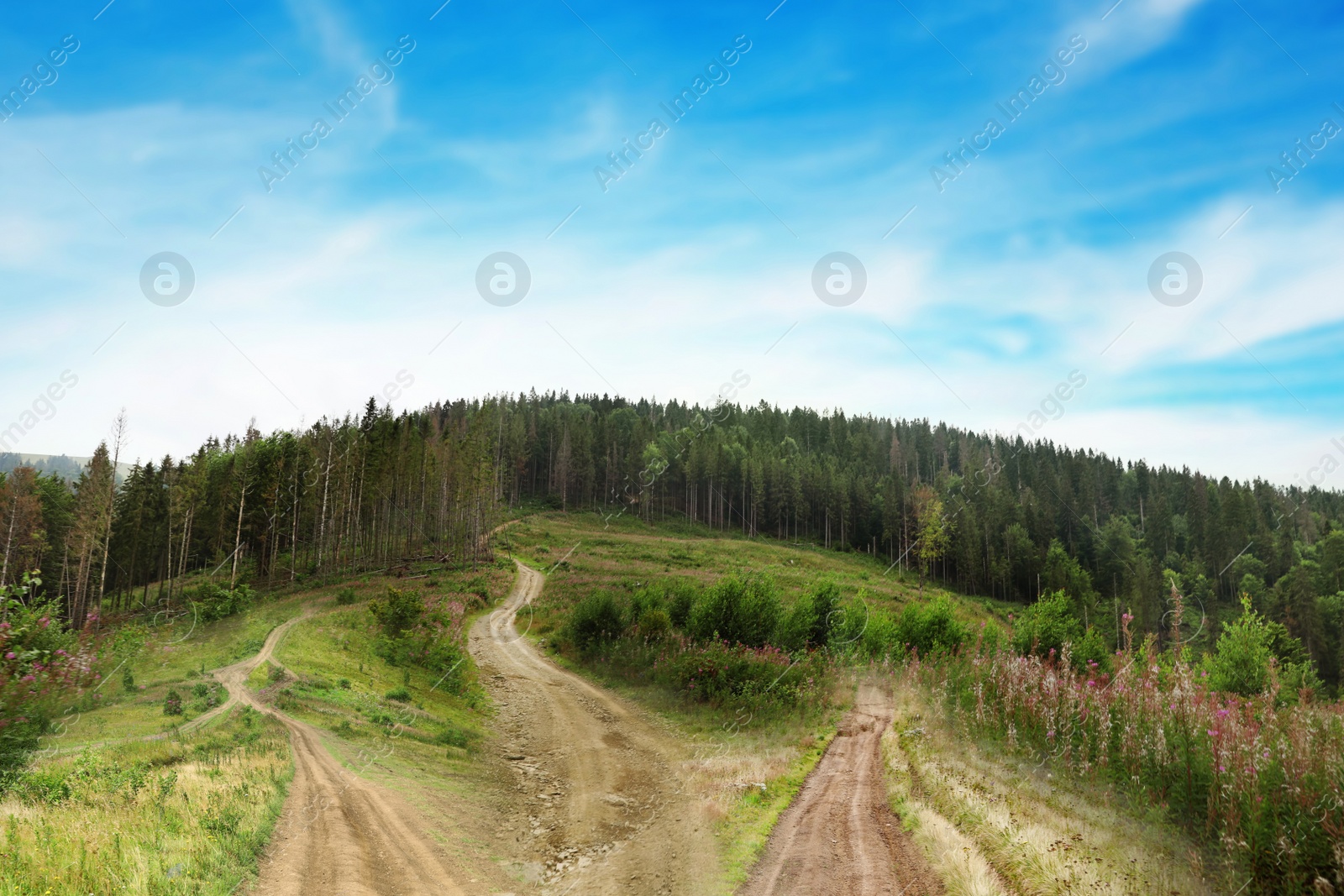 Image of Choosing way. Picturesque landscape with different roads in mountains