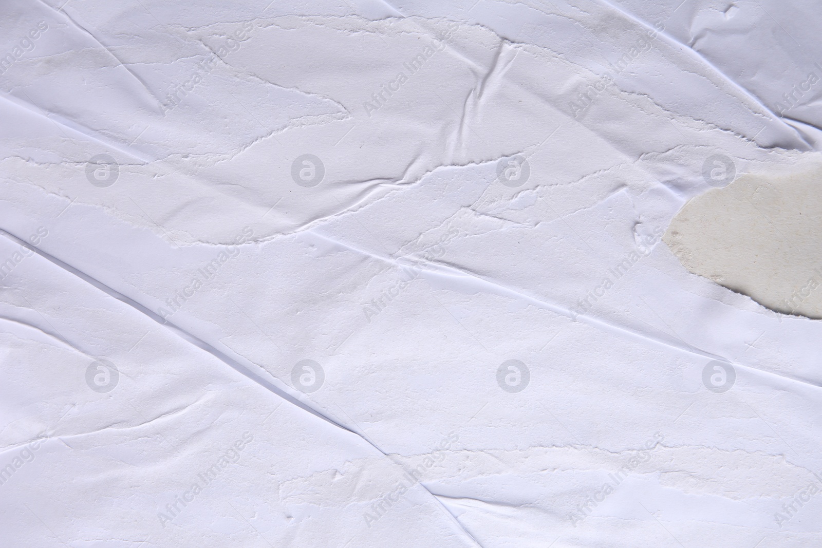 Photo of Texture of white ripped paper poster, closeup view