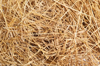 Photo of Dried straw as background, closeup. Livestock feed