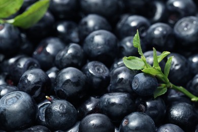 Photo of Fresh bilberries and green leaves as background, closeup