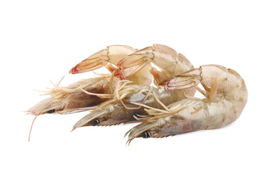 Photo of Fresh raw shrimps isolated on white. Healthy seafood