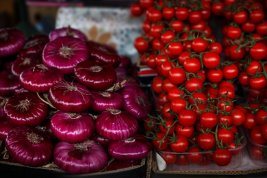 Photo of Fresh ripe vegetables on counter at wholesale market
