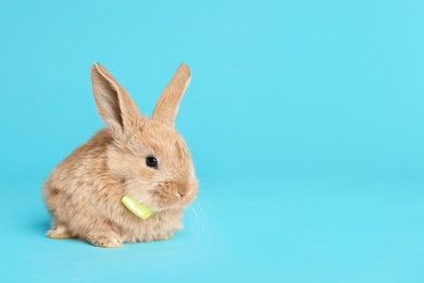 Photo of Adorable furry Easter bunny with cute bow tie on color background, space for text