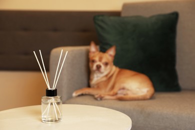 Photo of Aromatic reed air freshener and dog on armchair indoors, selective focus. Space for text