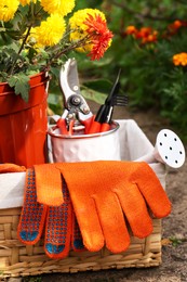 Photo of Wicker basket with gardening gloves, potted flowers and tools outdoors