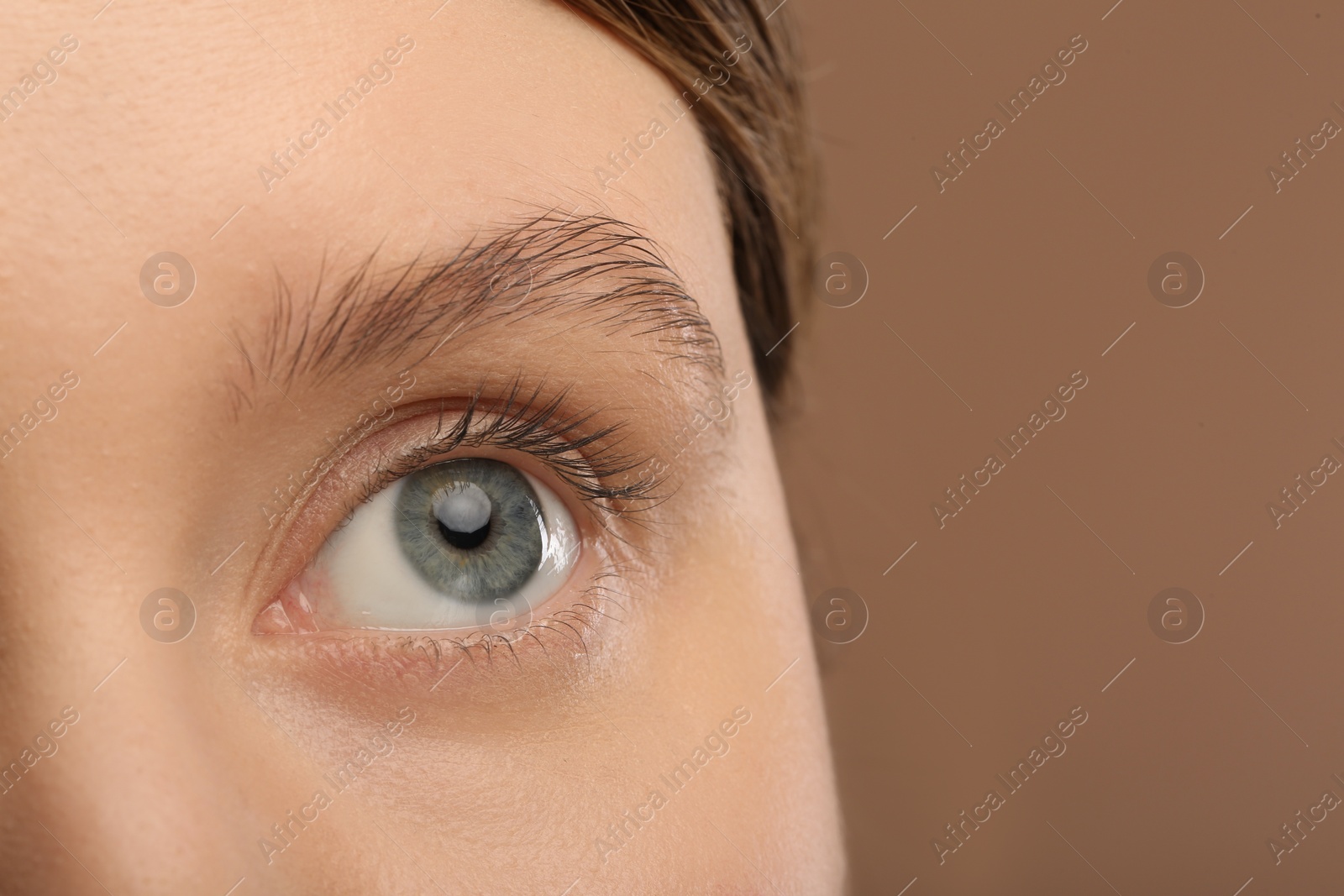 Photo of Woman with beautiful natural eyelashes on light brown background, closeup. Space for text