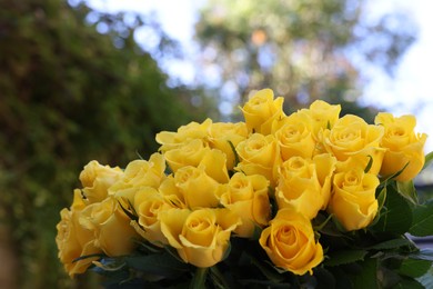 Beautiful bouquet of yellow roses outdoors, closeup. Space for text