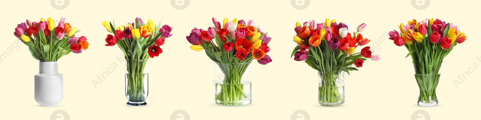 Image of Collage of stylish vases with beautiful tulip bouquets on pale yellow background. Banner design