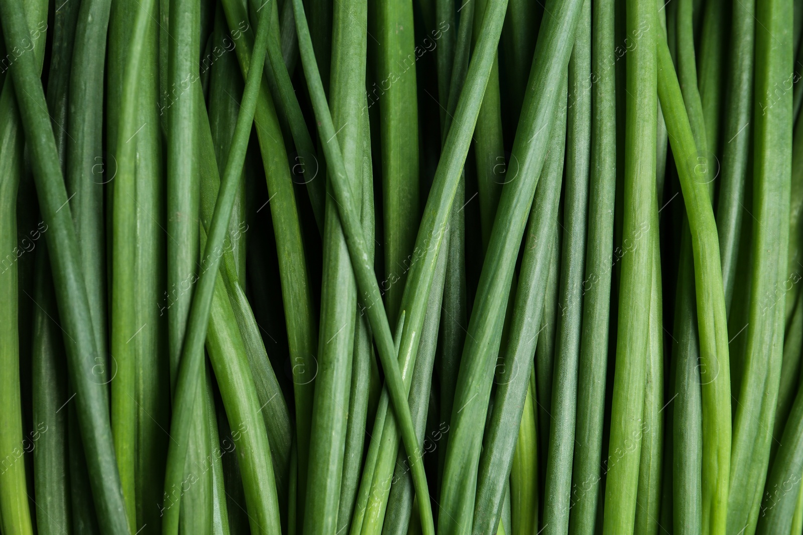 Photo of Fresh green spring onions as background, top view