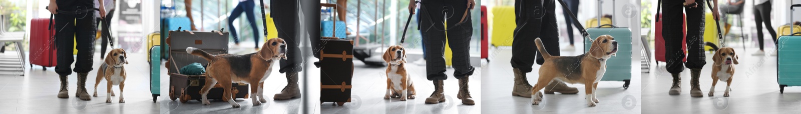 Image of Collage with photos of people with service dogs, closeup. Banner design