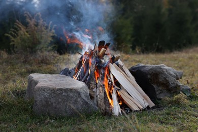 Photo of Beautiful bonfire near forest in autumn. Camping season