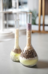 Photo of Glassware with mineral fertilizer on table in laboratory