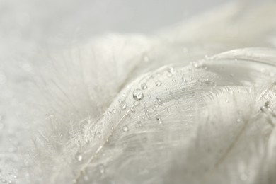 Photo of Many fluffy white feathers with water drops as background, closeup