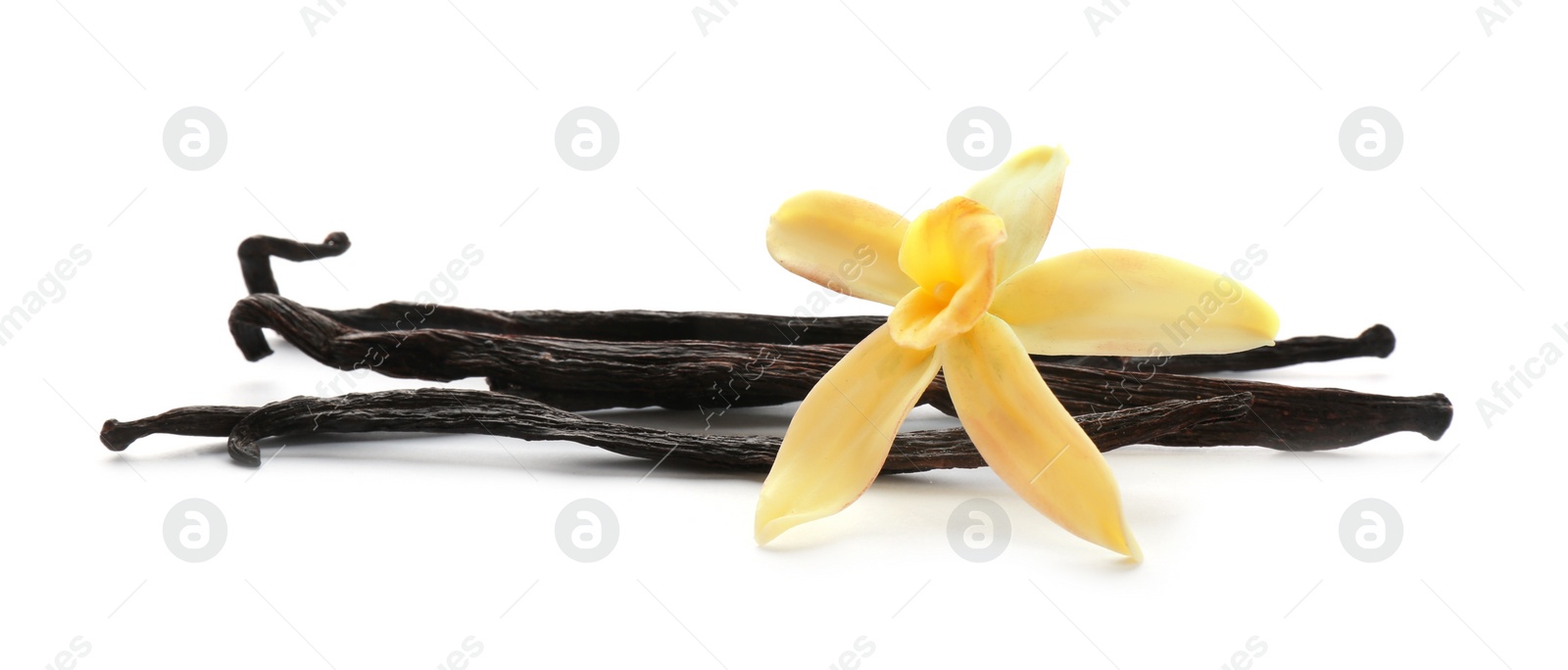 Photo of Aromatic vanilla sticks and flower on white background