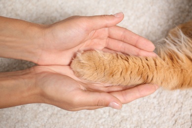 Photo of Woman and cat holding hands together on light carpet, top view