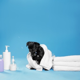 Photo of Cute black Petit Brabancon dog with towel, bath accessories and bubbles on light blue background