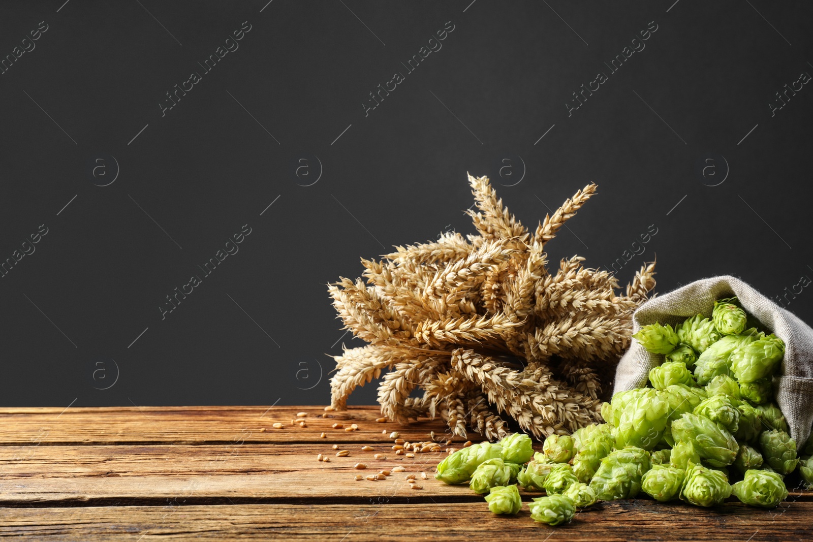 Photo of Overturned sack of hop flowers and wheat ears on wooden table against grey background, space for text