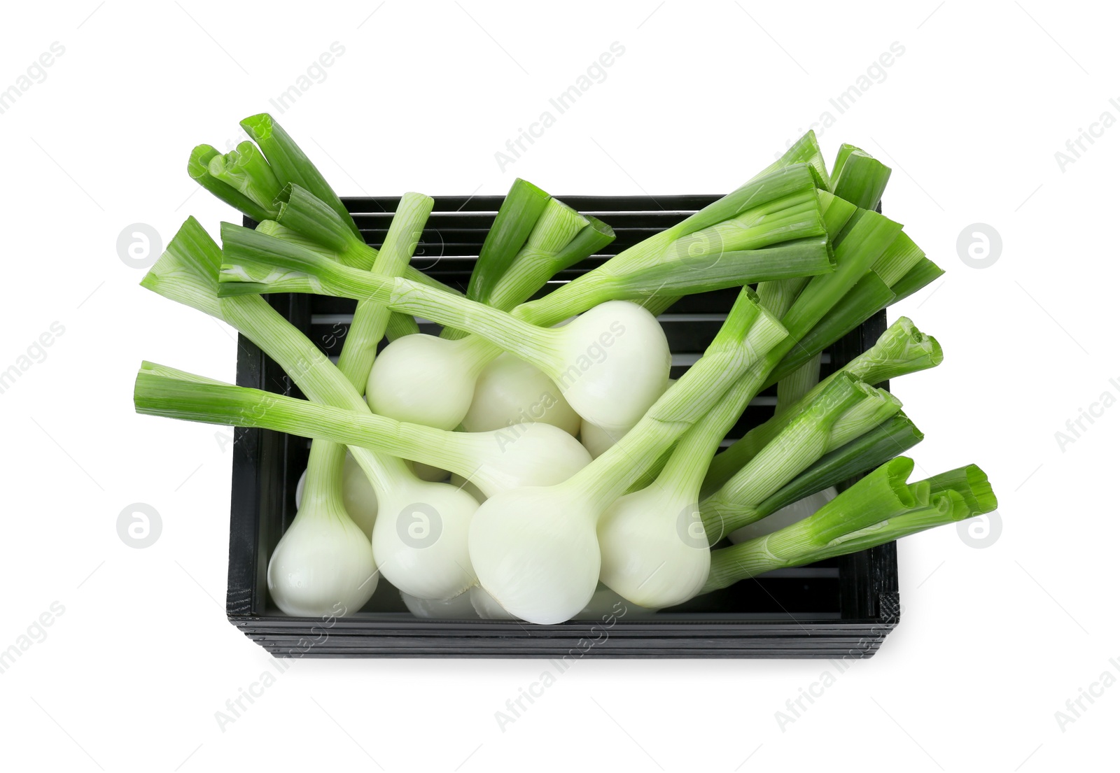 Photo of Black crate with green spring onions isolated on white, top view