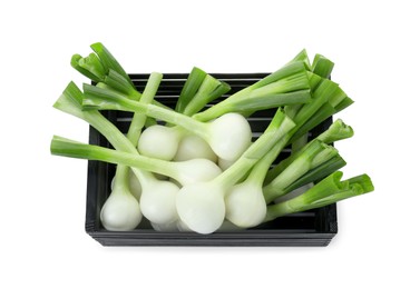Photo of Black crate with green spring onions isolated on white, top view