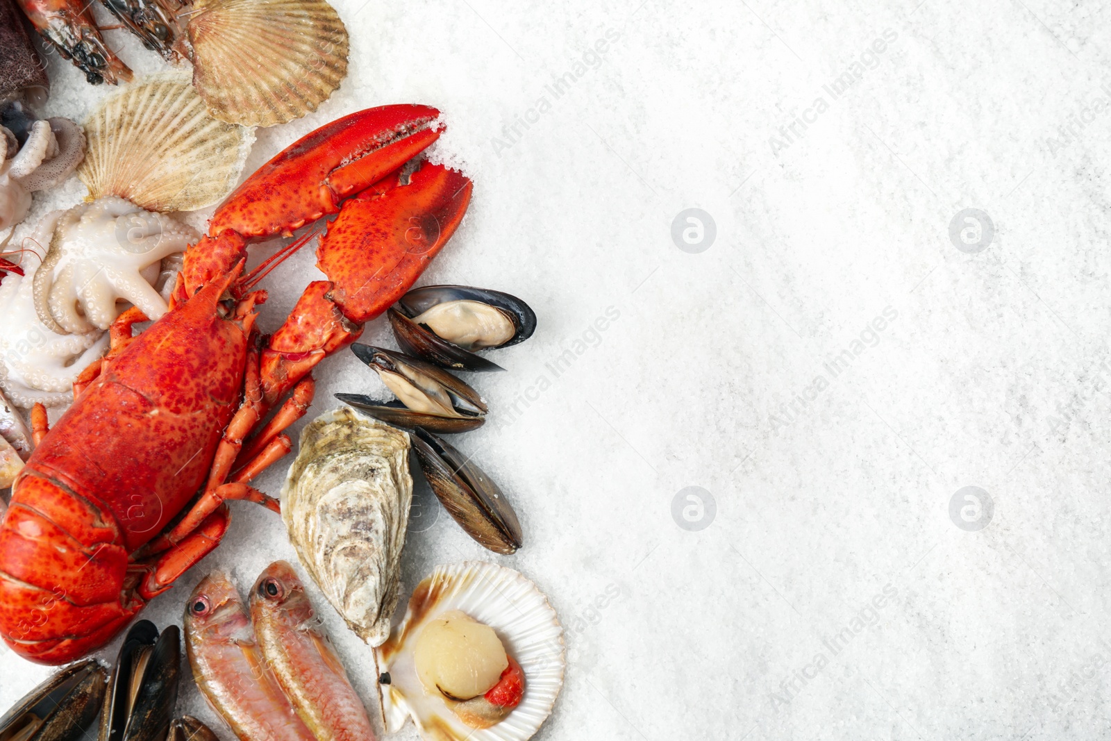 Photo of Fresh fish and seafood on ice, flat lay. Space for text