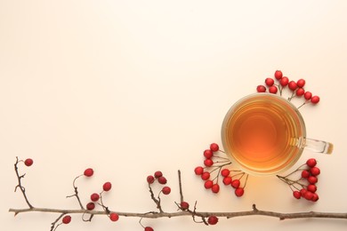 Photo of Cup with hawthorn tea and berries on beige table, top view. Space for text