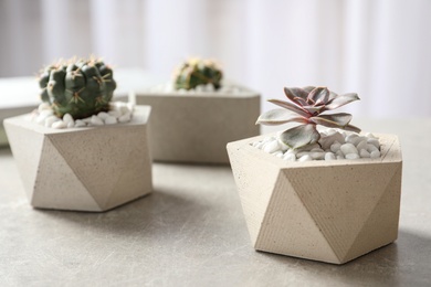 Photo of Beautiful succulent plants in stylish flowerpots on table indoors. Home decor