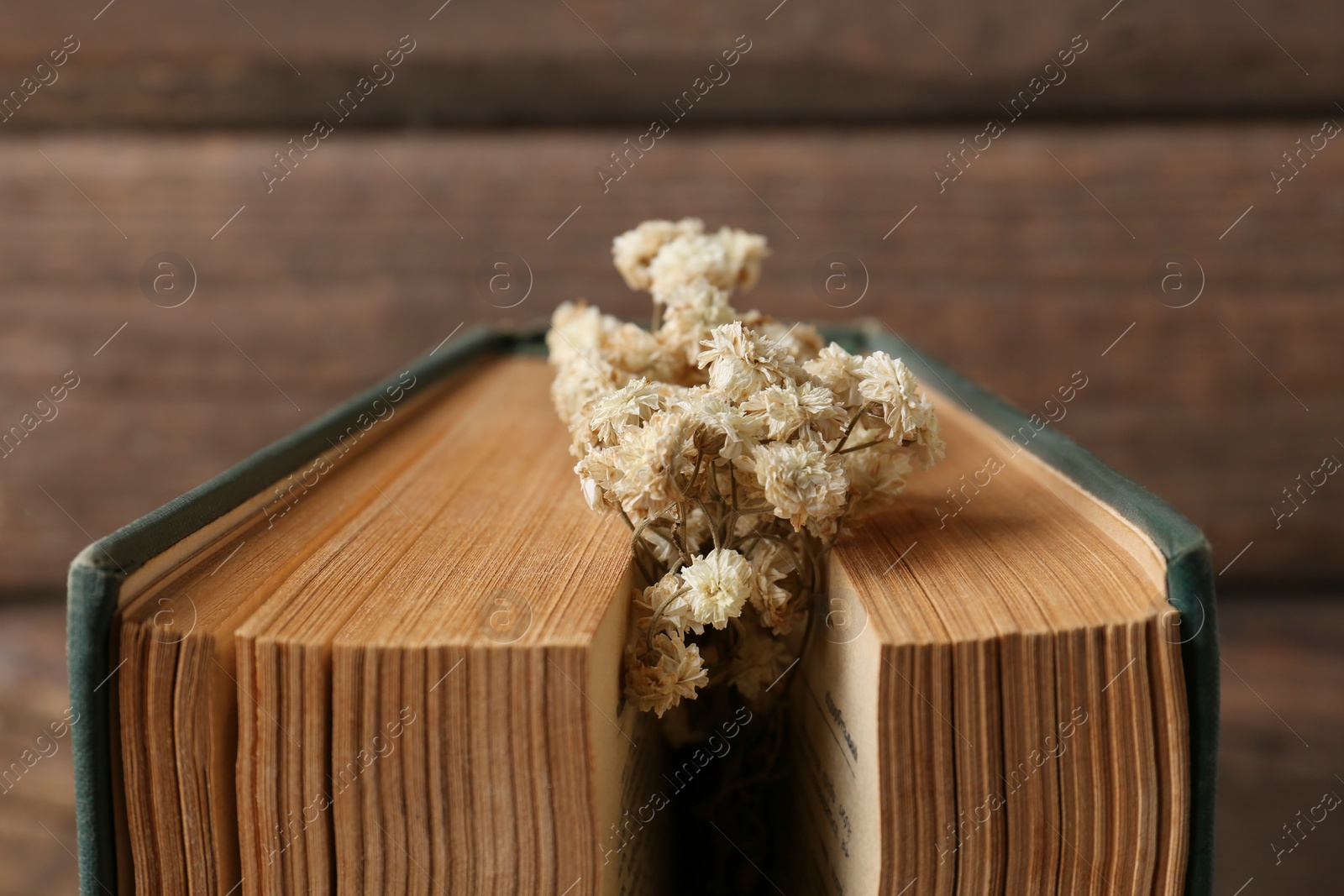 Photo of Book with flowers as bookmark on wooden background, closeup