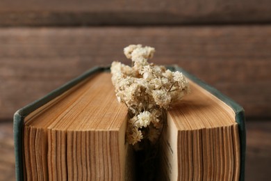 Photo of Book with flowers as bookmark on wooden background, closeup