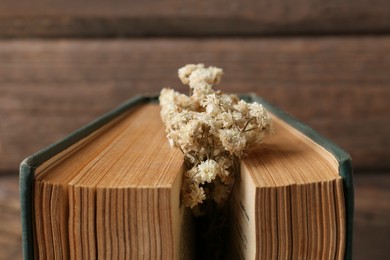 Book with flowers as bookmark on wooden background, closeup