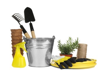 Different gardening tools and green plant on white background
