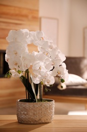 Photo of Beautiful white orchid on table in room