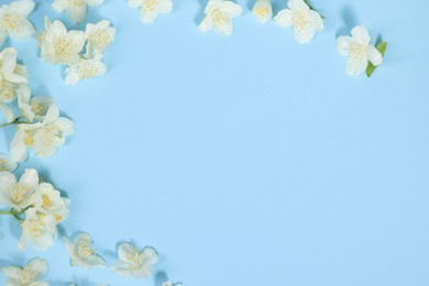 Photo of Beautiful jasmine flowers on light blue background, flat lay. Space for text