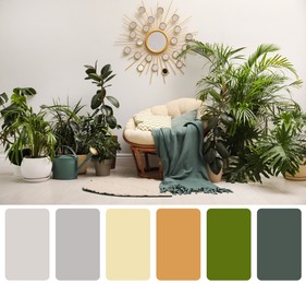 Color palette and photo of lounge area interior with comfortable papasan chair and houseplants. Collage