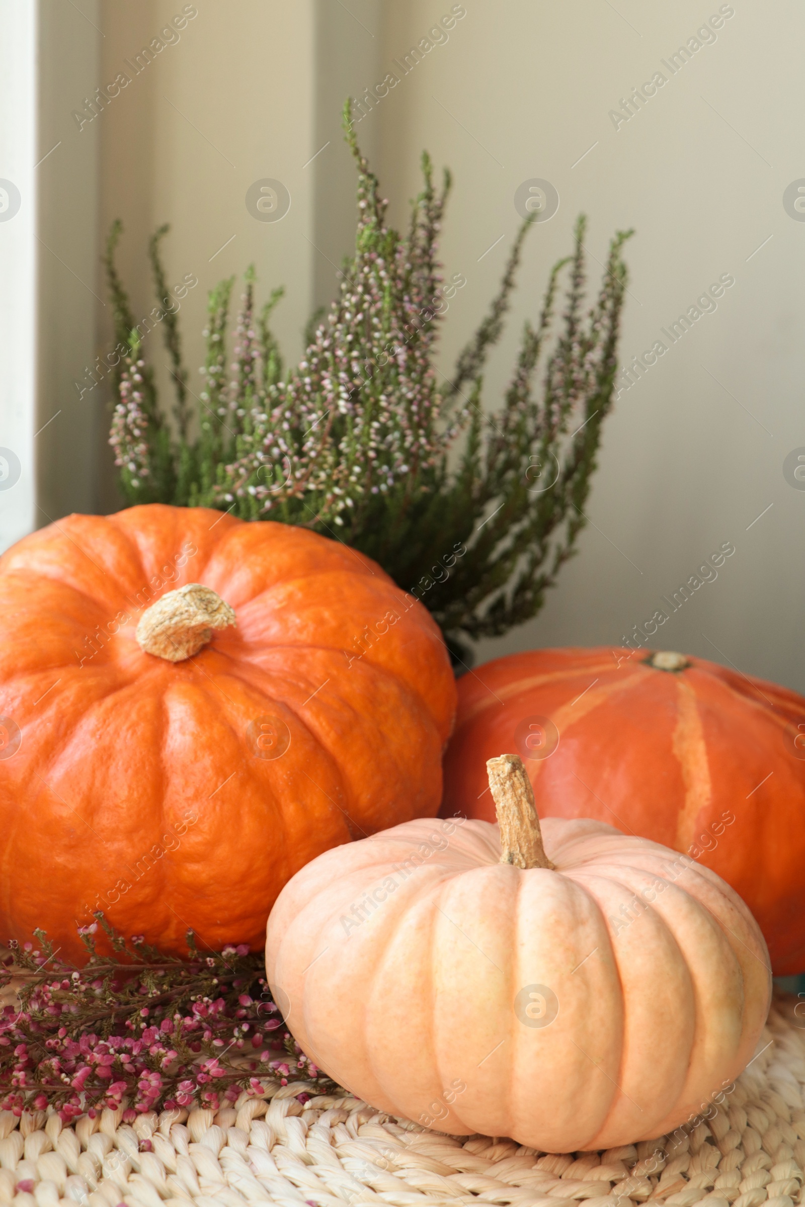 Photo of Pumpkins and beautiful heather flowers near window indoors