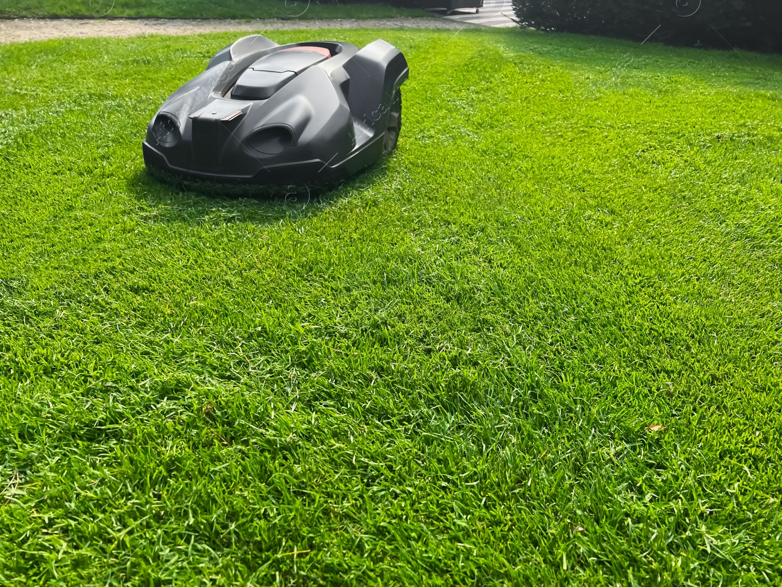 Photo of Modern robot lawn mower on green grass in garden