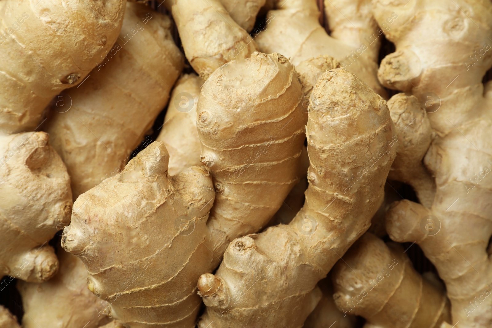 Photo of Aromatic fresh ginger as background, closeup view