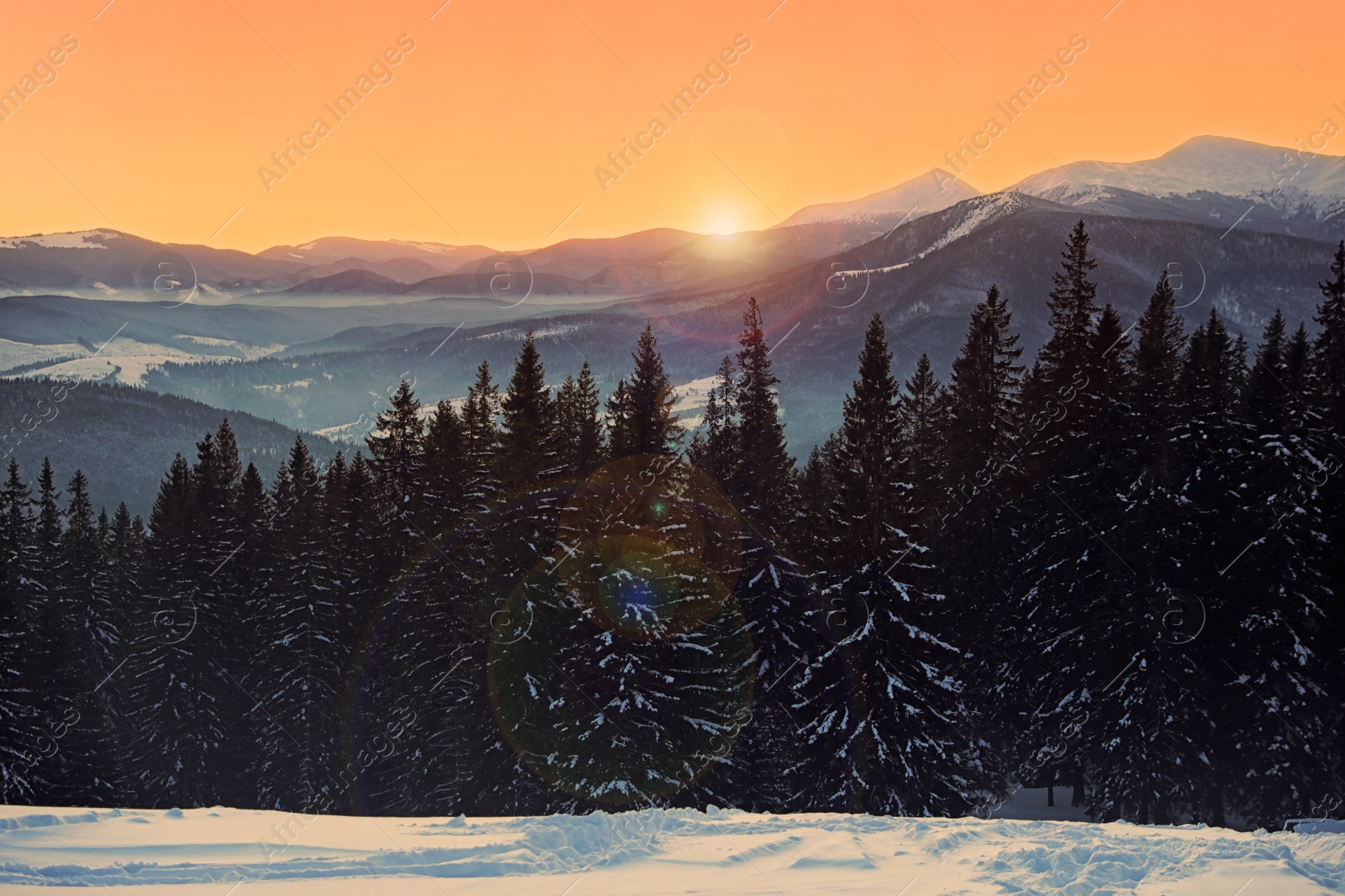 Photo of Beautiful mountain landscape with forest on snowy hill in winter